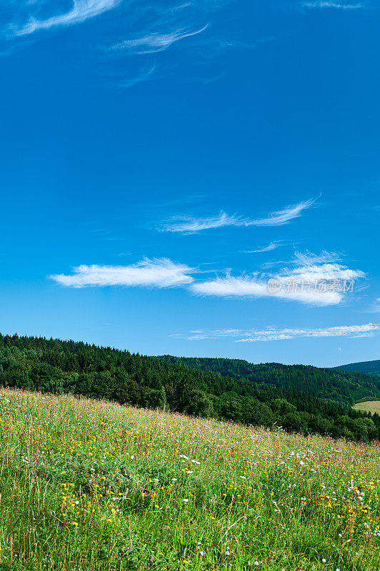 全景春季景观59MPix XXXXL大小草地，蓝天